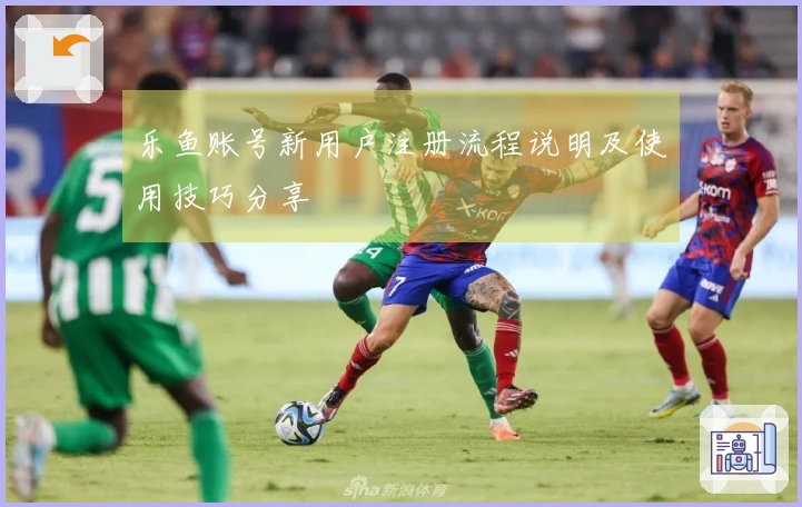 乐鱼账号新用户注册流程说明及使用技巧分享