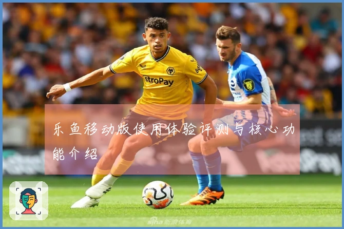 乐鱼移动版使用体验评测与核心功能介绍