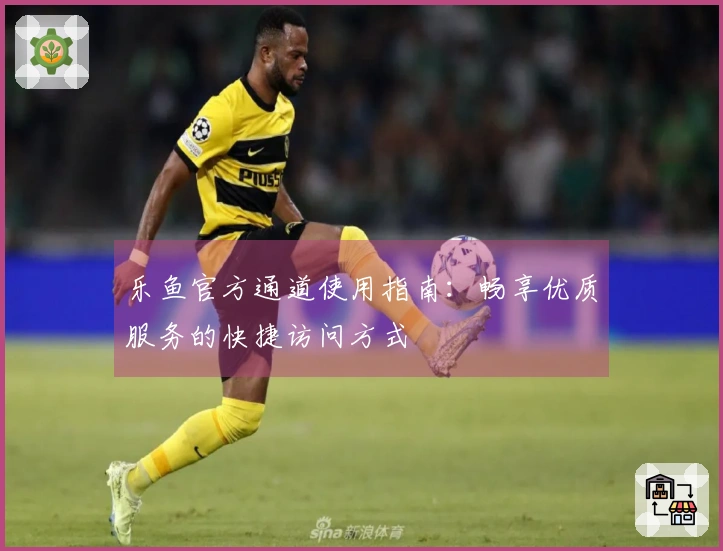 乐鱼官方通道使用指南：畅享优质服务的快捷访问方式