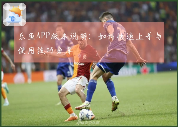 乐鱼APP版本说明：如何快速上手与使用技巧分享