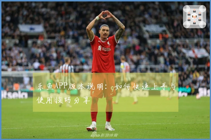 乐鱼APP版本说明：如何快速上手与使用技巧分享