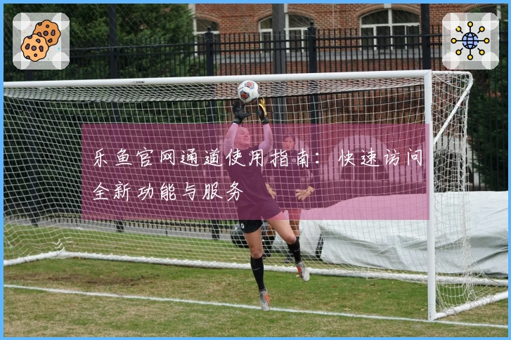 乐鱼官网通道使用指南：快速访问全新功能与服务